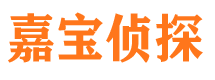 龙马潭找人公司